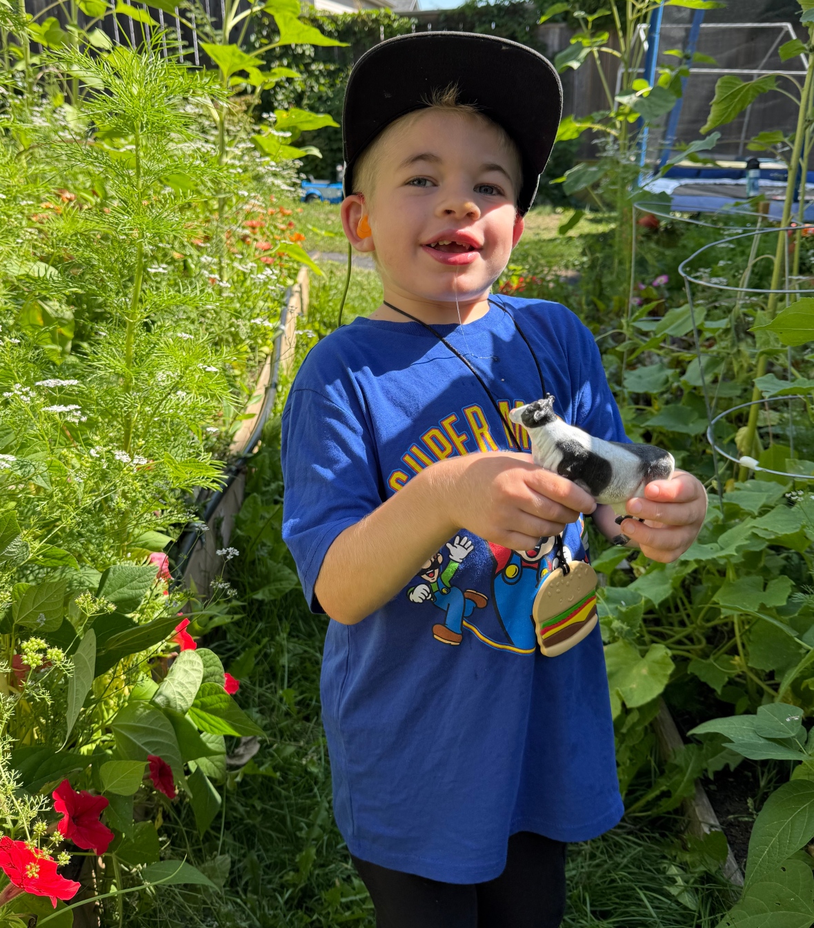 Pending gene therapy gives hope to family of Sask. boy with rare 'childhood Alzheimer's' 2 A boy in a garden in a blue shirt holding a cow.